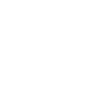 Hauszmann Alapítvány